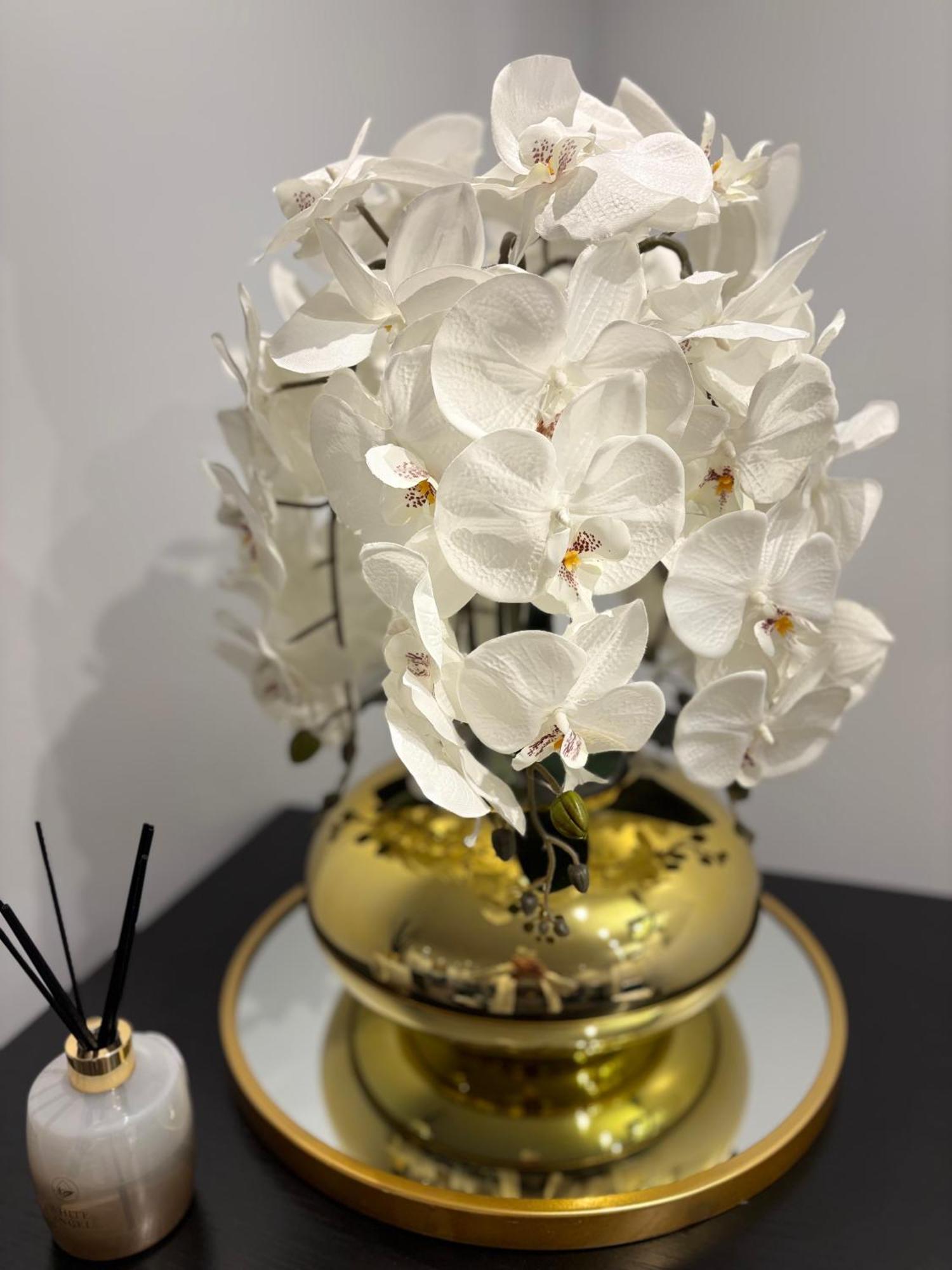 Hotel Riviera Opera Cadet Paris